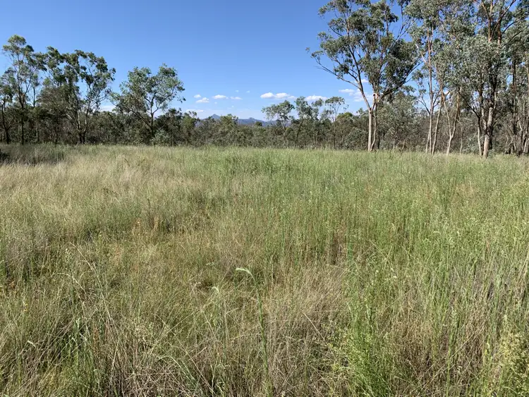 Sixth view of Homely rural property listing, 1998 Glen Davis Rd, Glen Davis NSW 2846