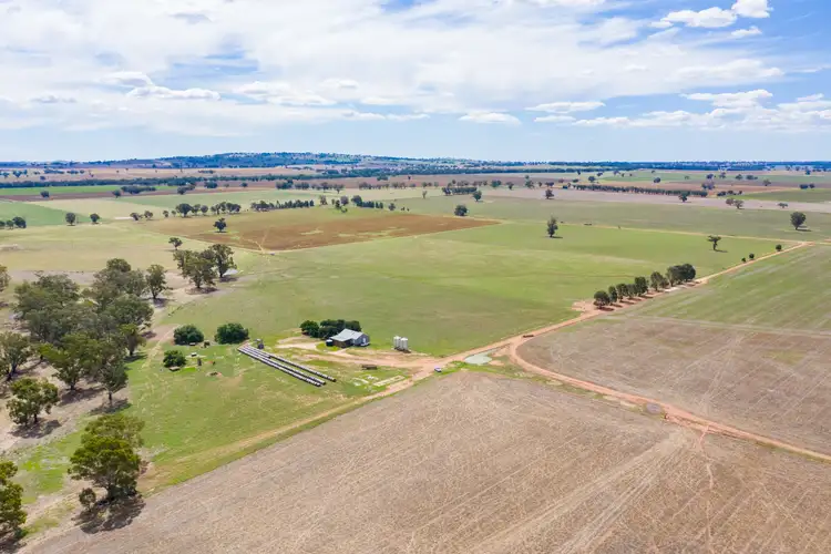 'Swandale' Riders Road, Walla Walla NSW 2659