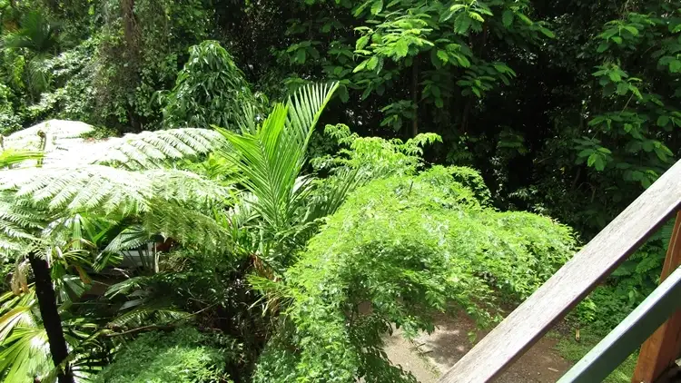 Third view of Homely house listing, 12 James Rd, Mission Beach QLD 4852