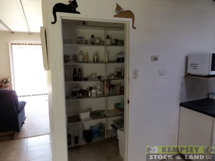 Sixth view of Homely rural property listing, 411 Hickeys Creek Rd, Millbank NSW 2440