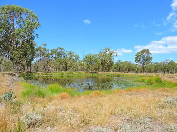 Second view of Homely rural property listing, 619 Wickhams Rd, Karara QLD 4352