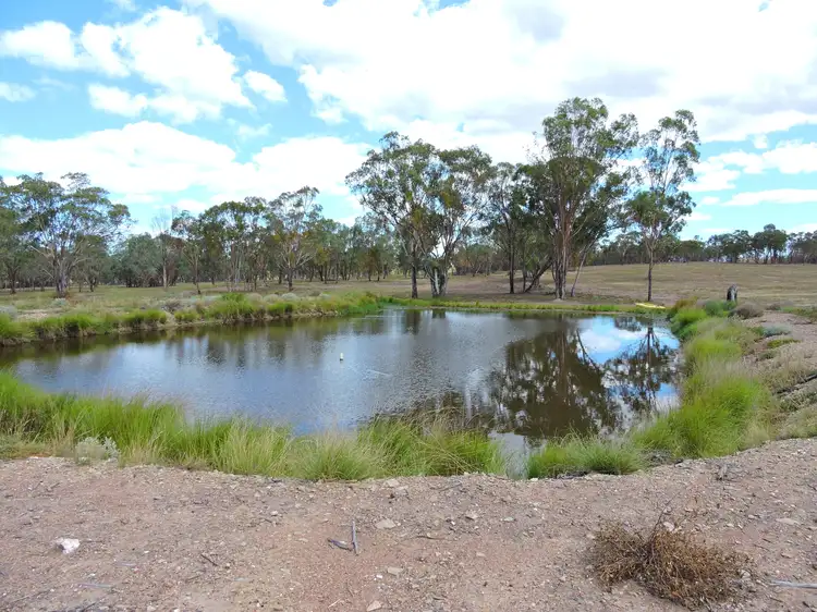 Fourth view of Homely rural property listing, 619 Wickhams Rd, Karara QLD 4352