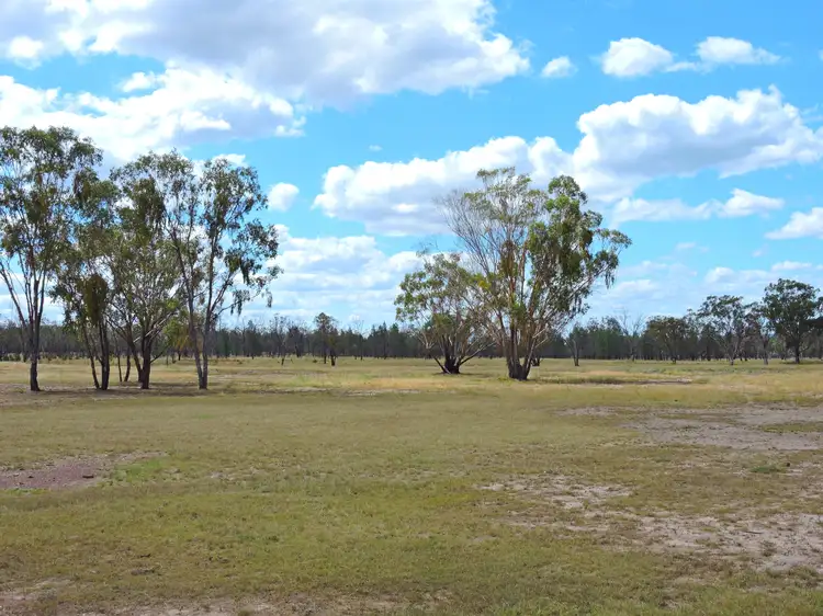 Sixth view of Homely rural property listing, 619 Wickhams Rd, Karara QLD 4352