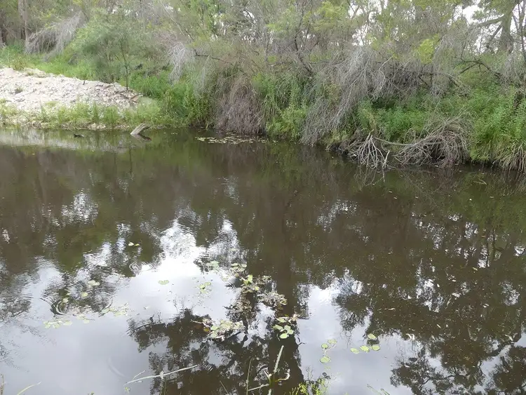 Second view of Homely rural property listing, 254 Curtin Road, Ballandean QLD 4382