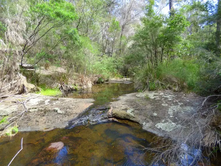 Second view of Homely rural property listing, 350 Back Creek Rd, Nethercote NSW 2549