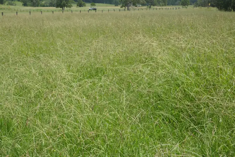 Seventh view of Homely rural property listing, 197 Ettrick Road, Kyogle NSW 2474