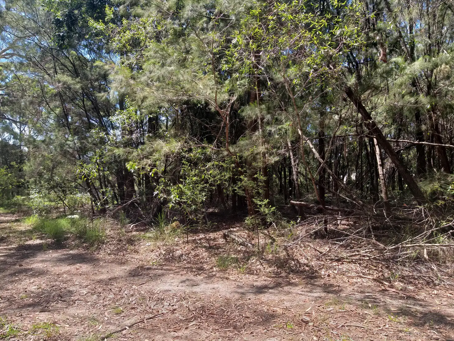 Main view of Homely land listing, 7 Zircon St, Russell Island QLD 4184