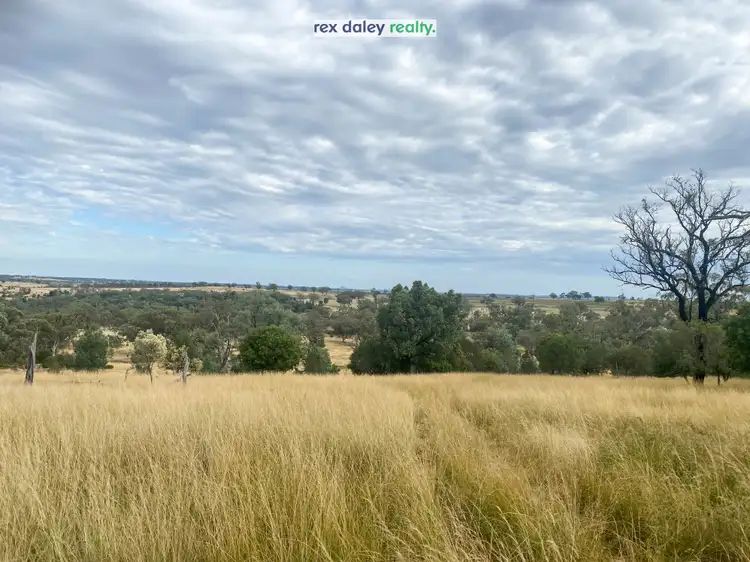 Sixth view of Homely rural property listing, "Fern Flat" Blyths Lane, Inverell NSW 2360