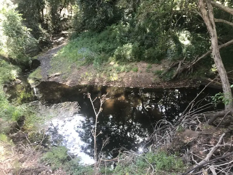 Fifth view of Homely rural property listing, 75 Walters Road, Kyogle NSW 2474