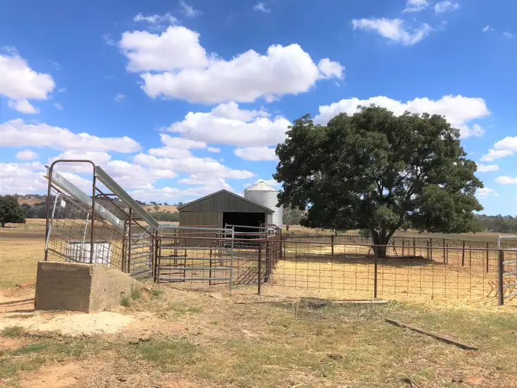 Third view of Homely rural property listing, 'Lindale' Jindera Road, Walla Walla NSW 2659