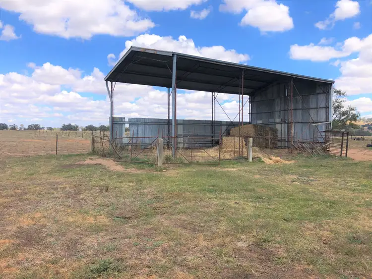 Fifth view of Homely rural property listing, 'Lindale' Jindera Road, Walla Walla NSW 2659