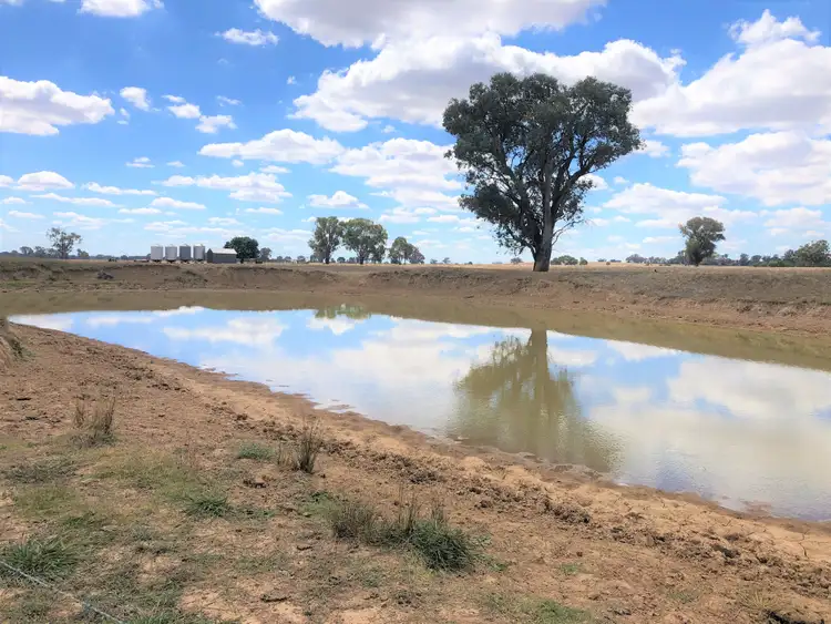 Sixth view of Homely rural property listing, 'Lindale' Jindera Road, Walla Walla NSW 2659