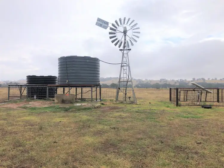 Seventh view of Homely rural property listing, 'Lindale' Jindera Road, Walla Walla NSW 2659