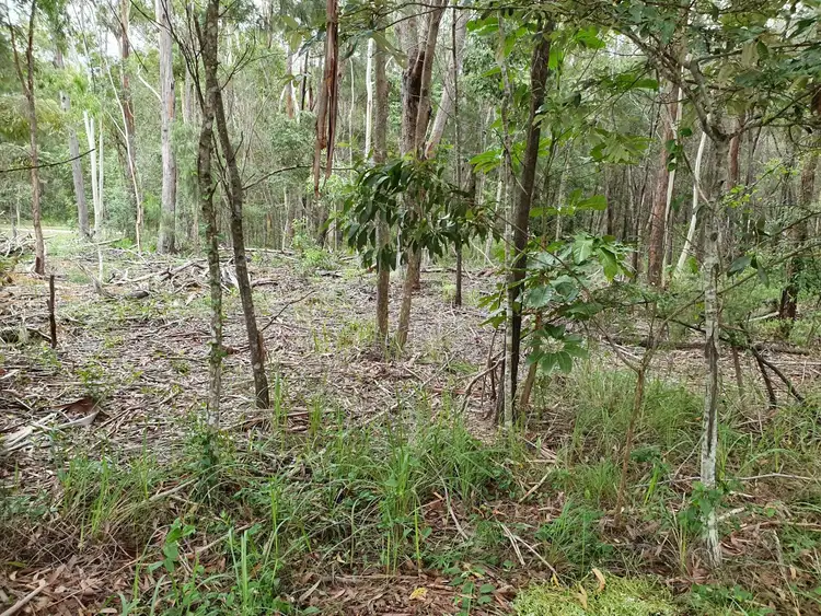 Third view of Homely land listing, 26 Toolona Ave, Russell Island QLD 4184