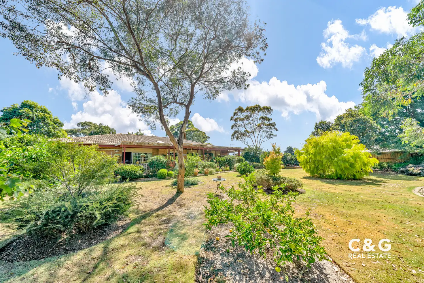 Main view of Homely house listing, 6 Connie Ct, Cranbourne VIC 3977