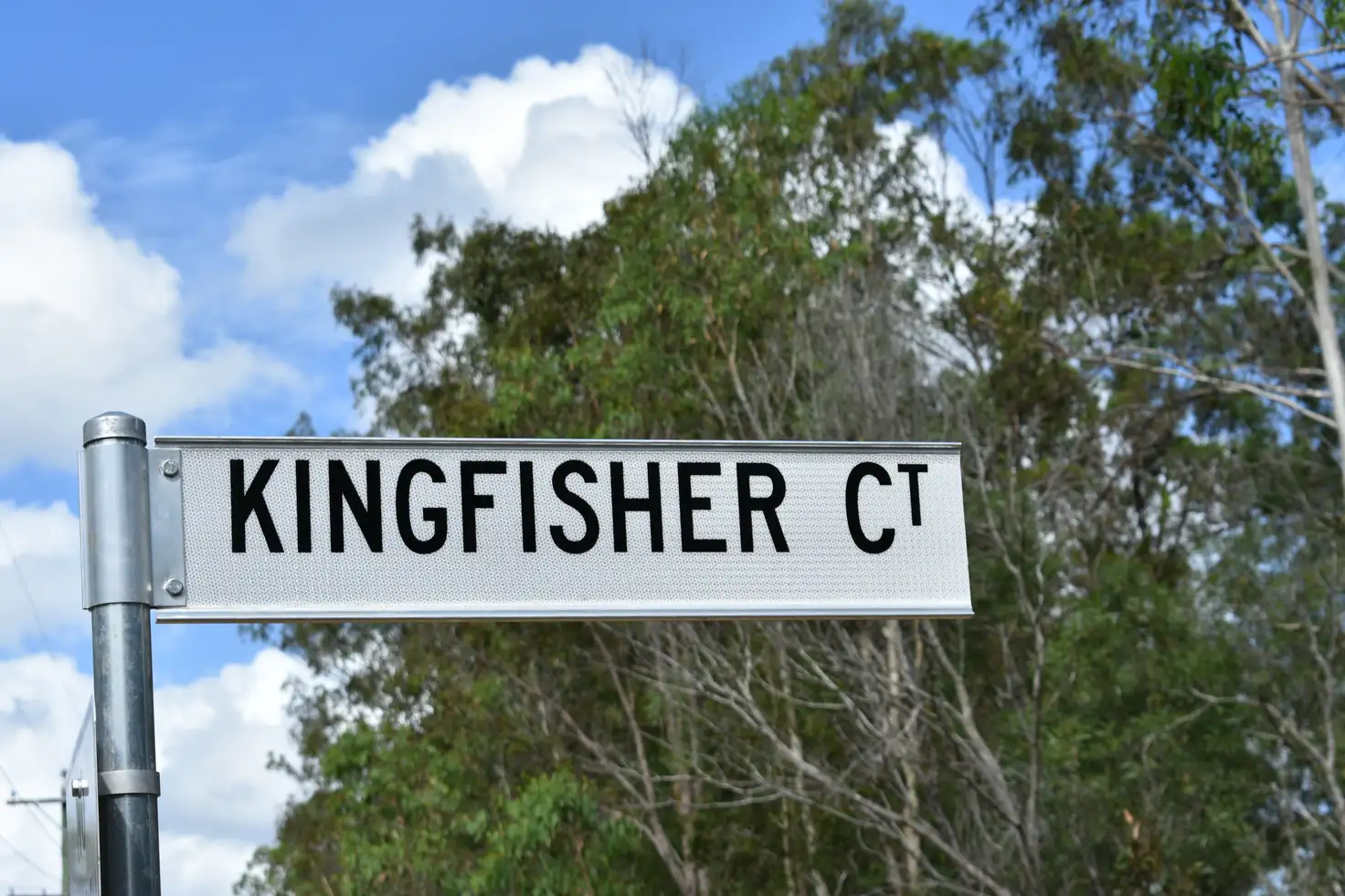 Main view of Homely land listing, Lot 12 Kingfisher Crt, Tinana QLD 4650