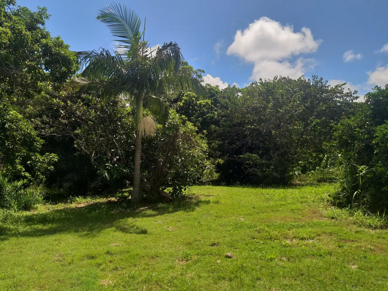 Main view of Homely land listing, 27 Laurel St, Russell Island QLD 4184