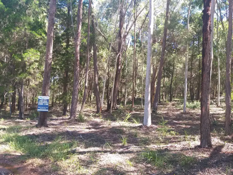 Main view of Homely land listing, 13 Tulloch Street, Russell Island QLD 4184