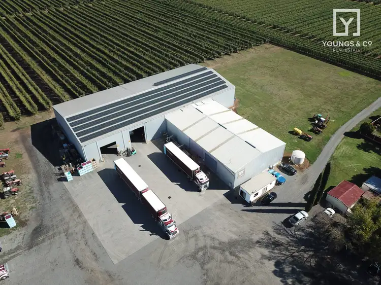 Second view of Homely rural property listing, 840 Channel Rd, Shepparton East VIC 3631