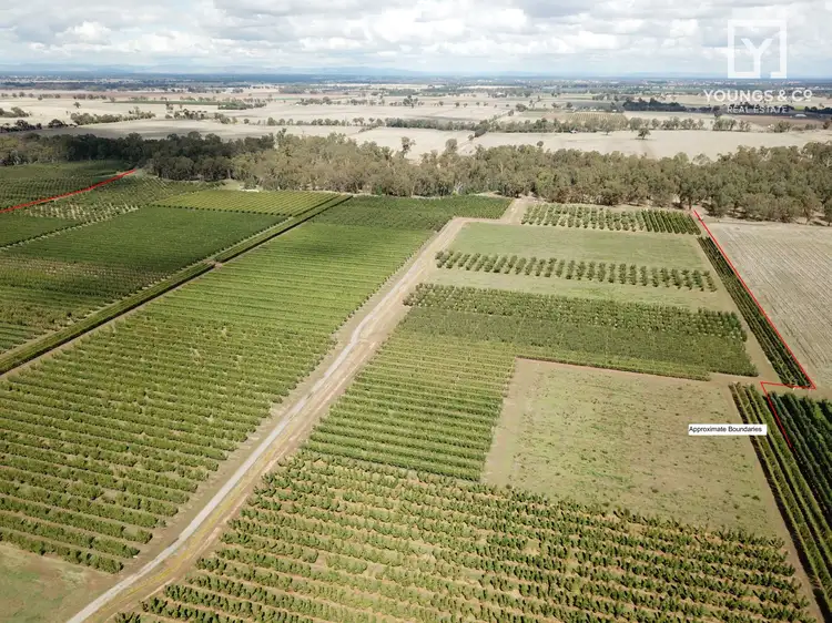 Fourth view of Homely rural property listing, 840 Channel Rd, Shepparton East VIC 3631