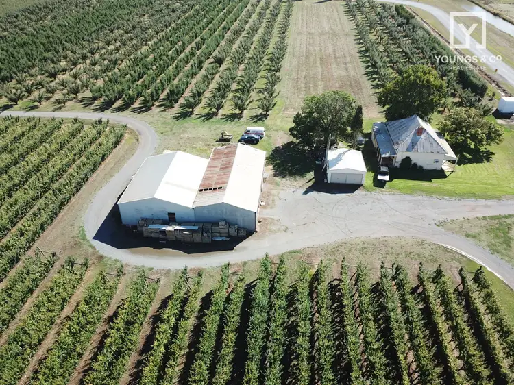 Sixth view of Homely rural property listing, 840 Channel Rd, Shepparton East VIC 3631