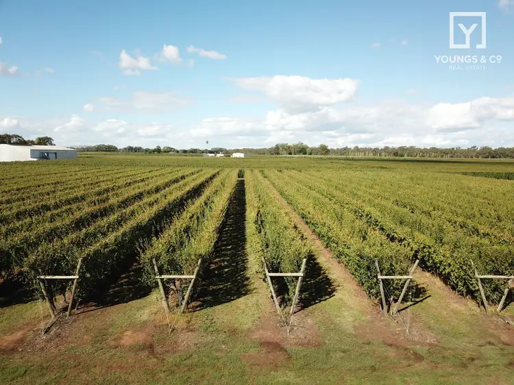 Seventh view of Homely rural property listing, 840 Channel Rd, Shepparton East VIC 3631