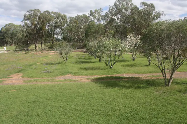 Main view of Homely rural property listing, 18266 Cunningham Hwy, Karara QLD 4352