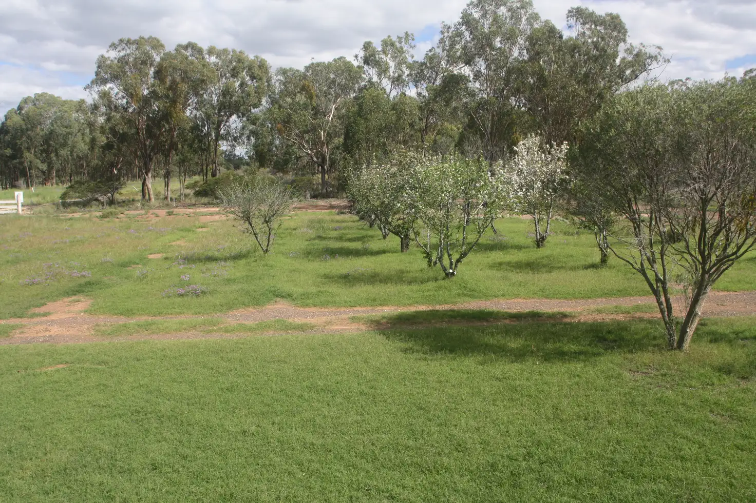 Main view of Homely rural property listing, 18266 Cunningham Hwy, Karara QLD 4352