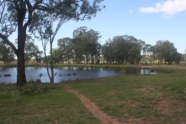 Second view of Homely rural property listing, 18266 Cunningham Hwy, Karara QLD 4352