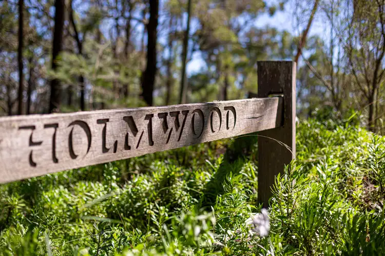 Third view of Homely rural property listing, 415 Wilton Park Rd, Wilton NSW 2571