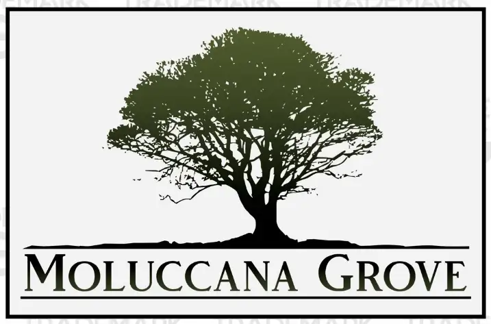 Main view of Homely land listing, Lot 12 Molucanna Grove, Southside QLD 4570