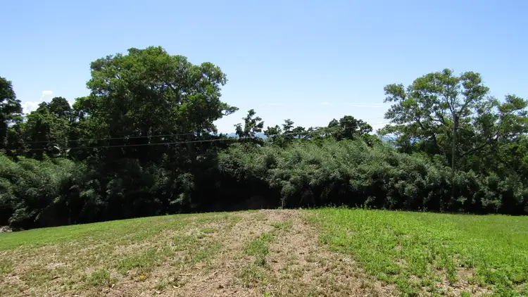Third view of Homely land listing, 24 Alexander Dr, Mission Beach QLD 4852