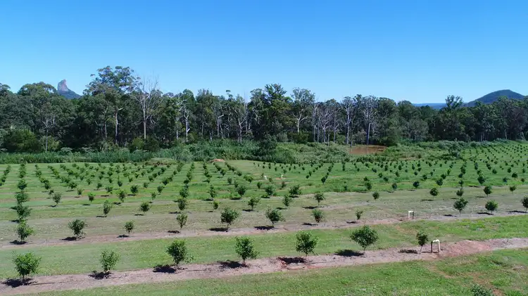 Third view of Homely rural property listing, 75 Youngs Rd, Glass House Mountains QLD 4518