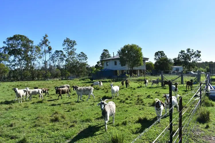 Main view of Homely rural property listing, 53 Keenes Rd, Bauple QLD 4650