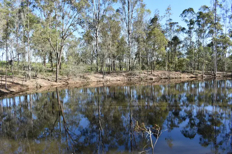 Third view of Homely rural property listing, 53 Keenes Rd, Bauple QLD 4650
