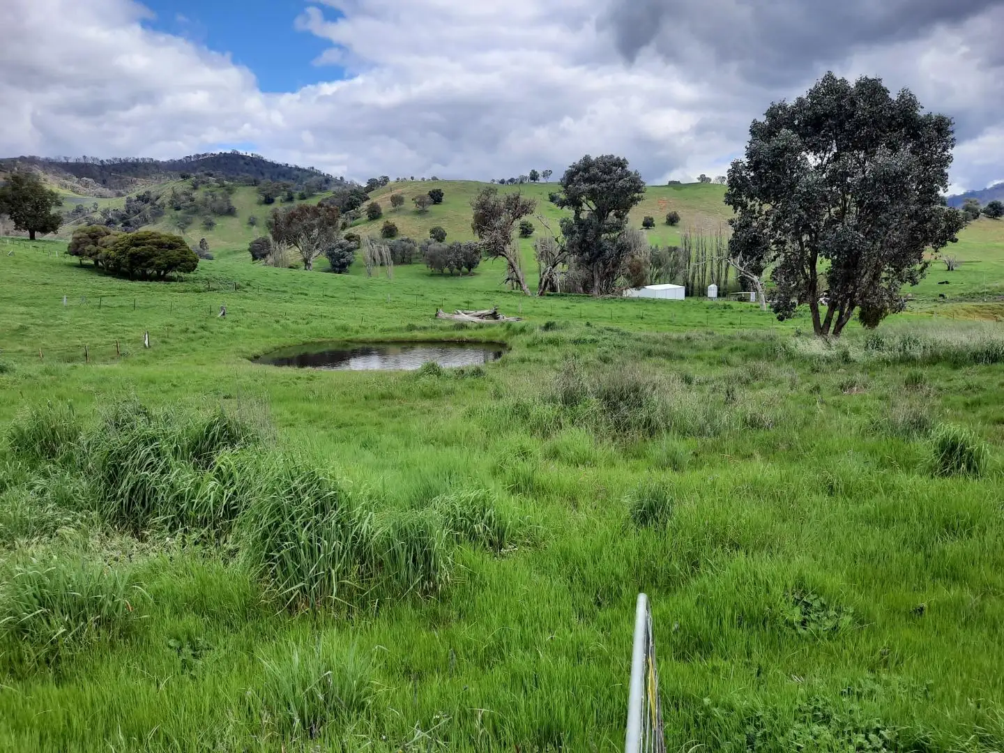 Main view of Homely house listing, 8074 Murray River Rd, Walwa VIC 3709