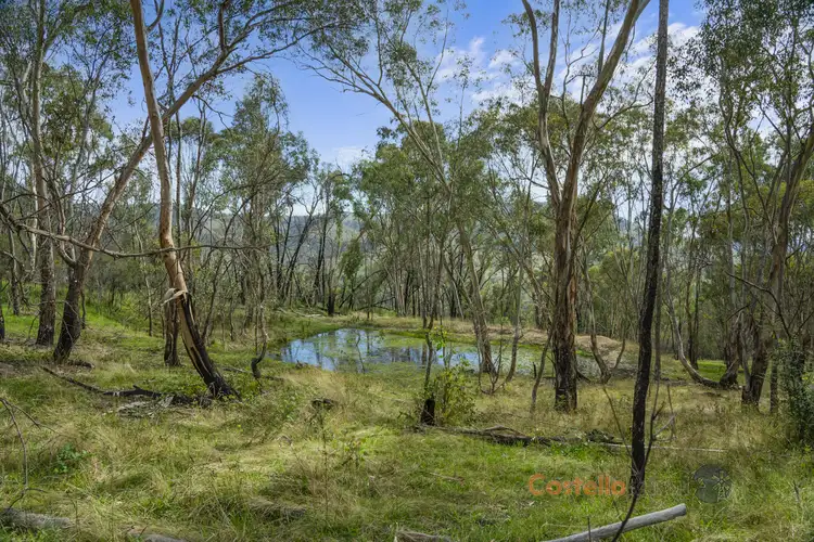 Main view of Homely rural property listing, 9846 Murray River Rd, Pine Mountain VIC 3709
