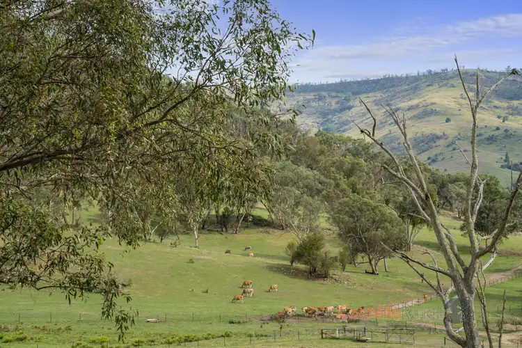 Second view of Homely rural property listing, 9846 Murray River Rd, Pine Mountain VIC 3709