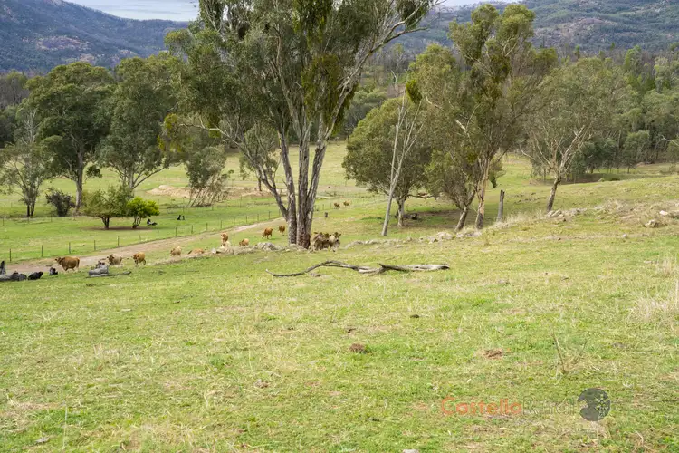 Fifth view of Homely rural property listing, 9846 Murray River Rd, Pine Mountain VIC 3709