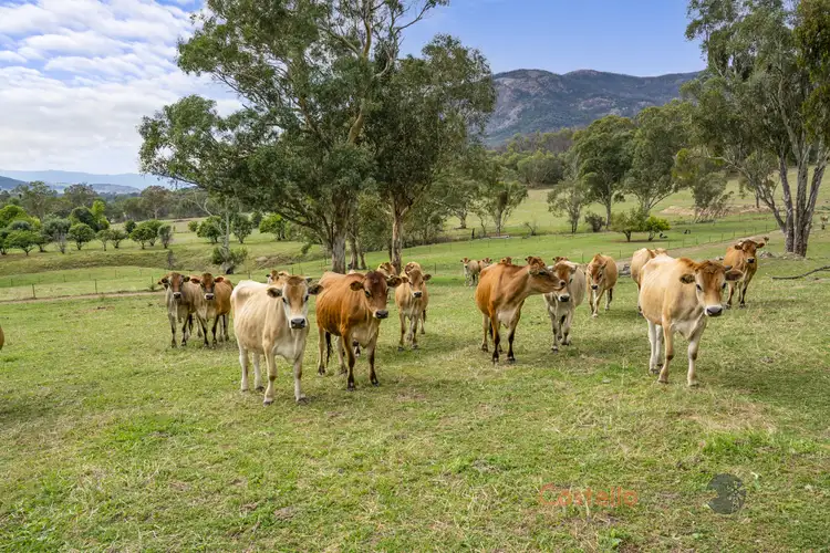 Sixth view of Homely rural property listing, 9846 Murray River Rd, Pine Mountain VIC 3709