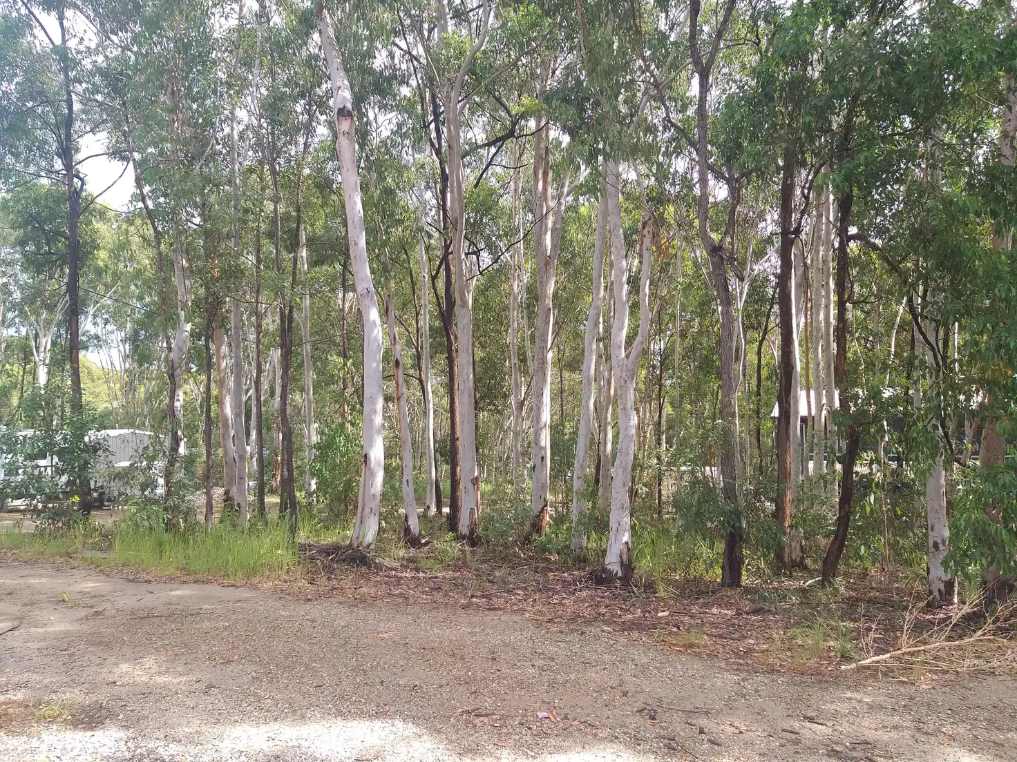 Main view of Homely land listing, 59 Duringan Street, Russell Island QLD 4184
