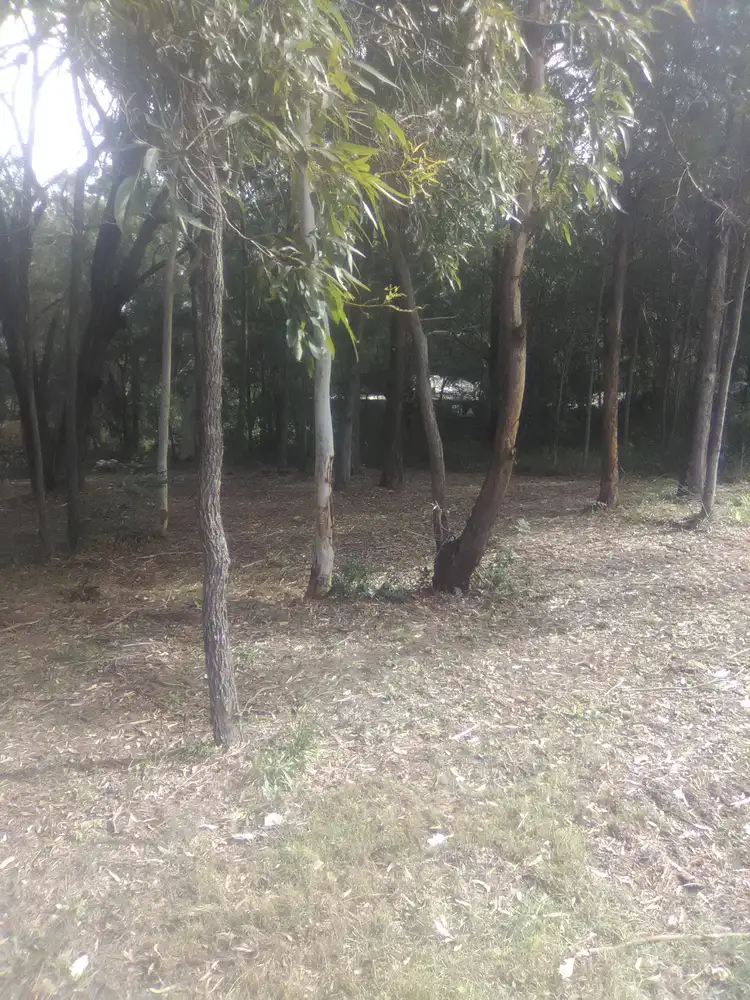 Third view of Homely land listing, 32 Allamanda St, Russell Island QLD 4184