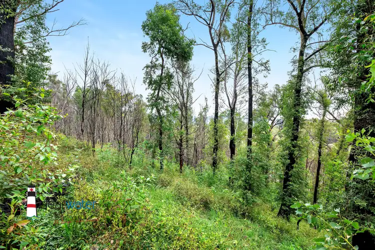 Fourth view of Homely land listing, Lot 18 - 19 Gillespie St, Cobargo NSW 2550