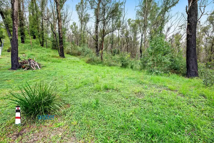 Sixth view of Homely land listing, Lot 18 - 19 Gillespie St, Cobargo NSW 2550