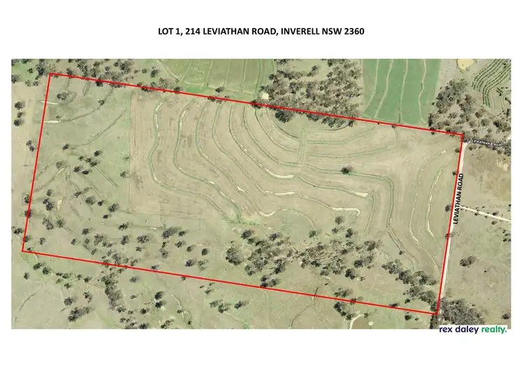 Fifth view of Homely rural property listing, Lot 1/214 Leviathan Road, Inverell NSW 2360