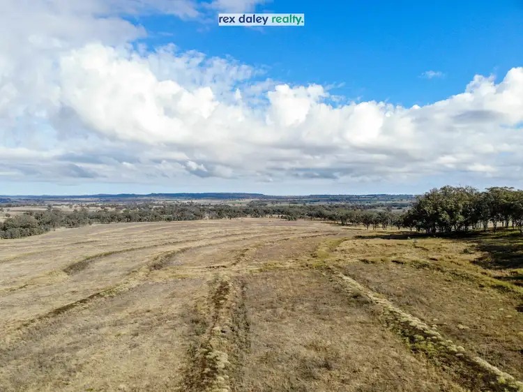 Seventh view of Homely rural property listing, Lot 1/214 Leviathan Road, Inverell NSW 2360