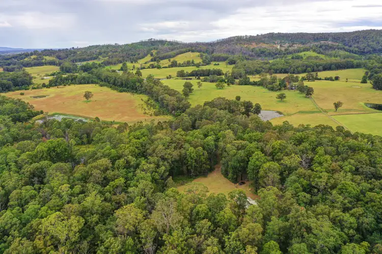 Fourth view of Homely rural property listing, 270 Possum Brush Rd, Possum Brush NSW 2430