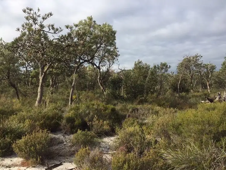 Third view of Homely land listing, 170 Robinson Road, Wandi WA 6167