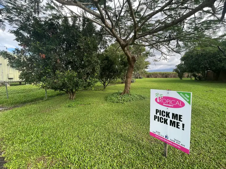 Main view of Homely land listing, 303 Silkwood-Japoon Road, Silkwood QLD 4856