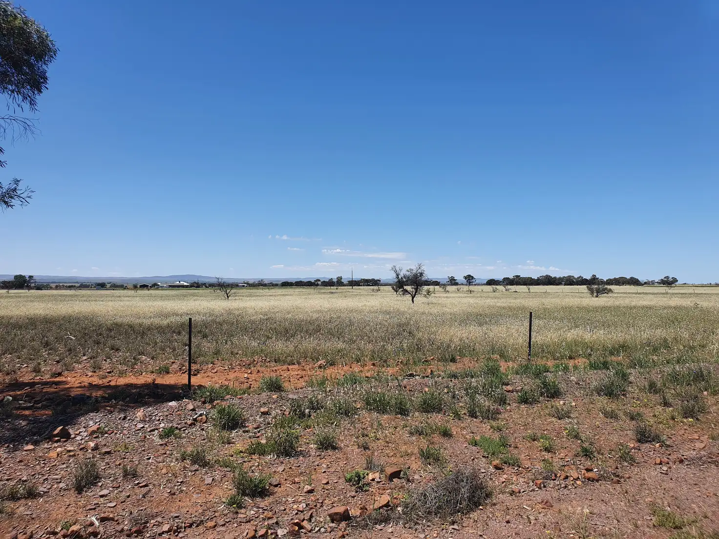 Main view of Homely land listing, Section 324 Modystach Road, Wilmington SA 5485